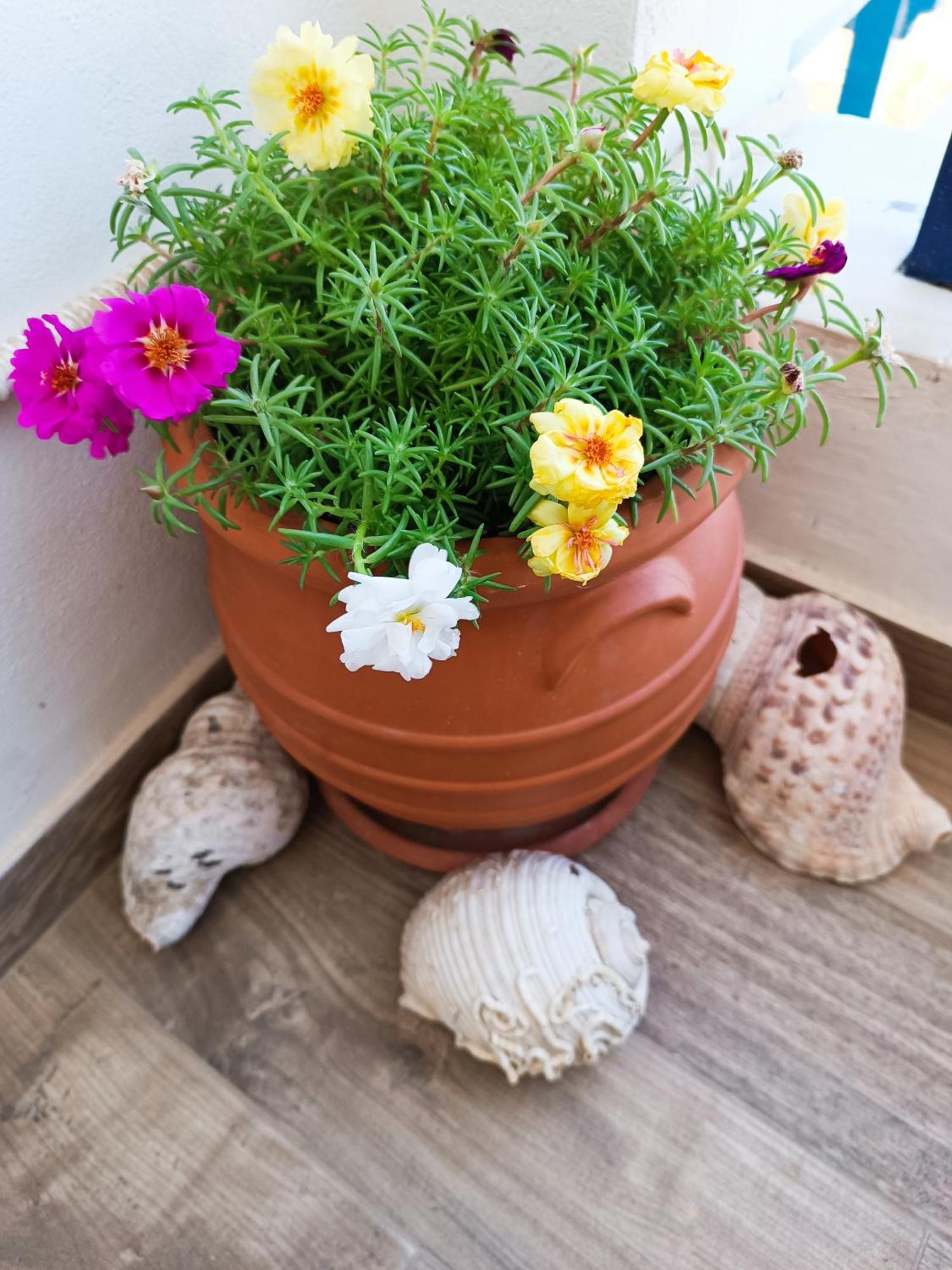 Enjoy Cyclades & Country house Kythnos
