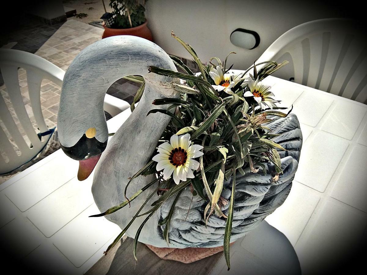 Casa rural Enjoy Cyclades & *